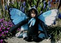 Schmetterling