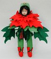 Weihnachtsstern5